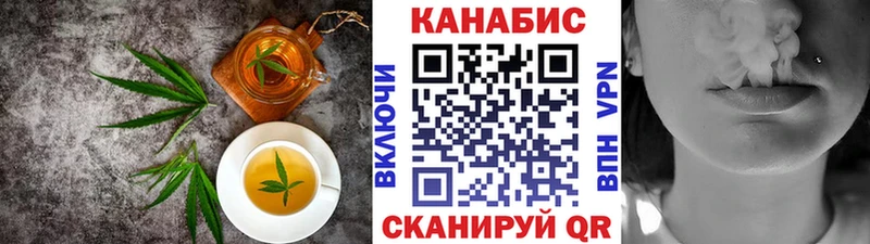 OMG как зайти  как найти   Тайга  Cannafood конопля 