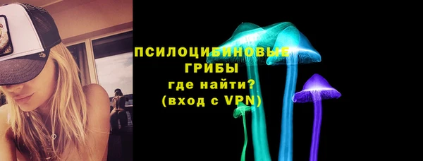 круглые Абаза