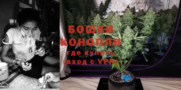 PSILOCYBIN Нефтекумск