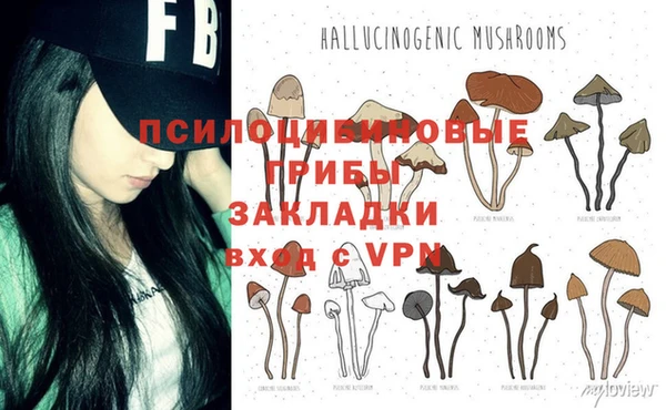 круглые Абаза